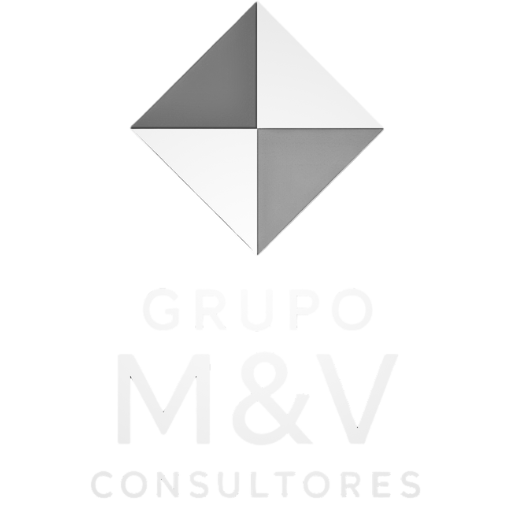 Grupo M&V Consultores